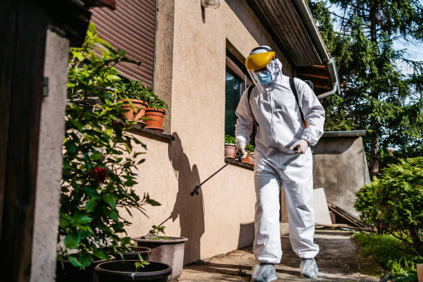 Best Pest Control Near Me in Paul, ID