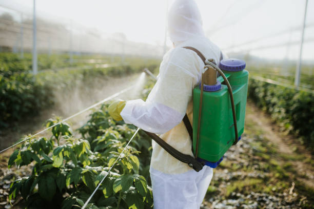 Best Cockroach Control Services  in Paul, ID